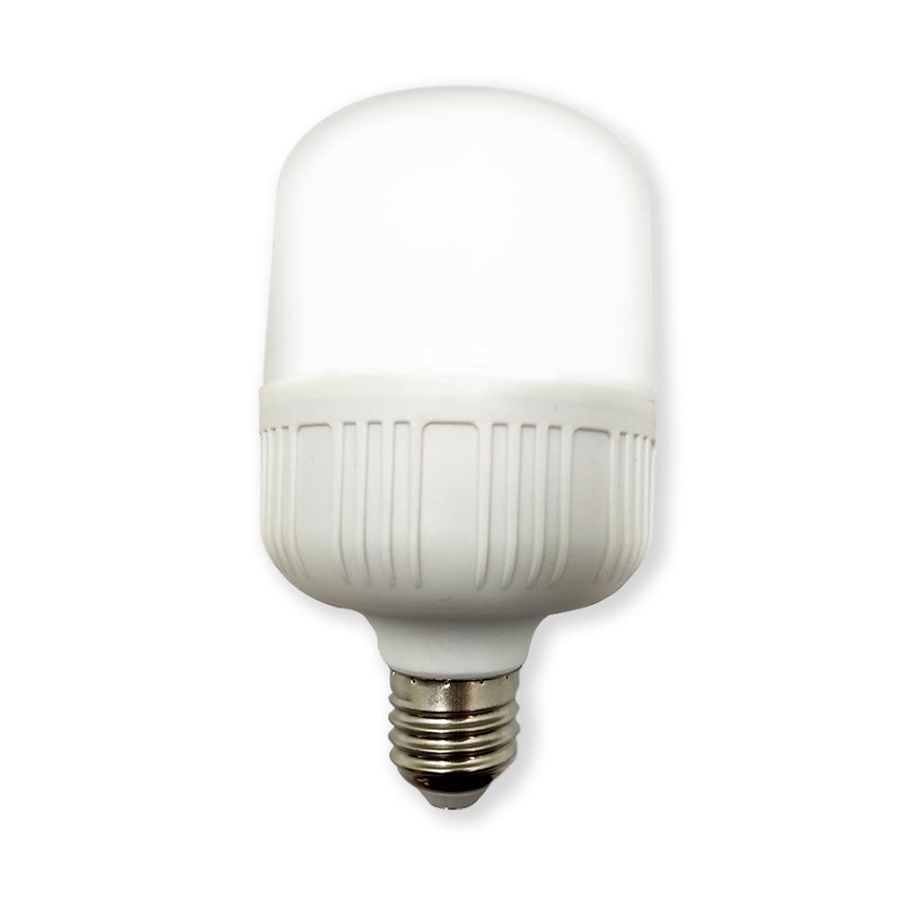 BOMBILLO LED 20W LUZ DIA E27 MULTIVOLTAGE (6500K)